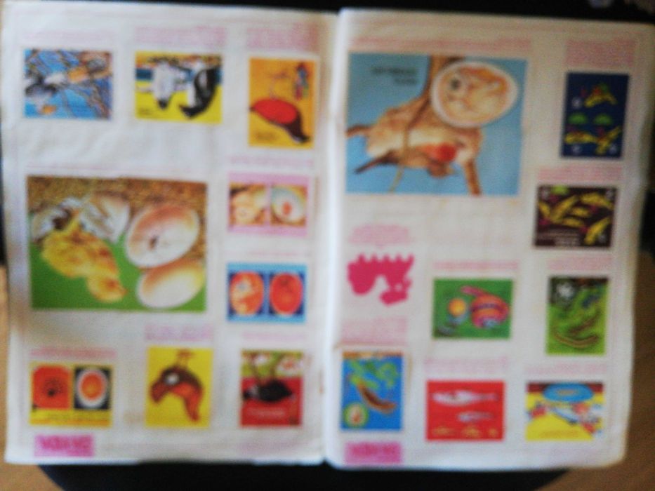 Caderneta A Origem da Vida