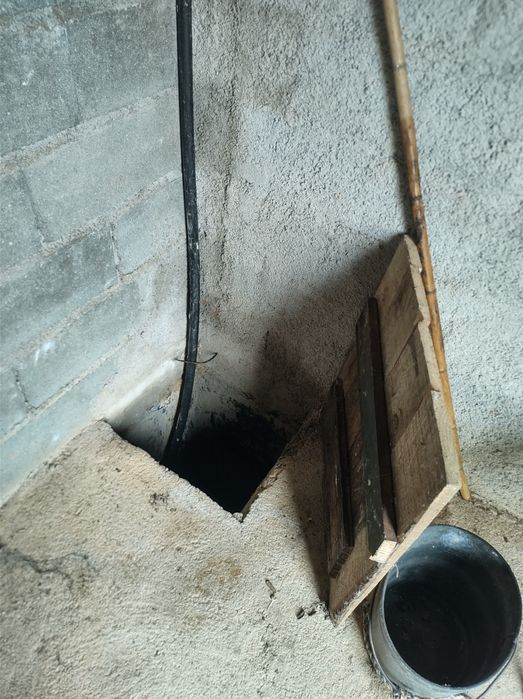 Vinha abandonada na bairrada