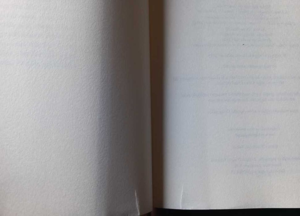 História do Novo Nome - Elena Ferrante (Amiga Genial, Volume 2)