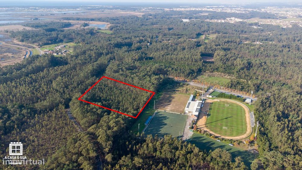 Terreno rústico com 17.800 m² em Avanca - Exclusivo