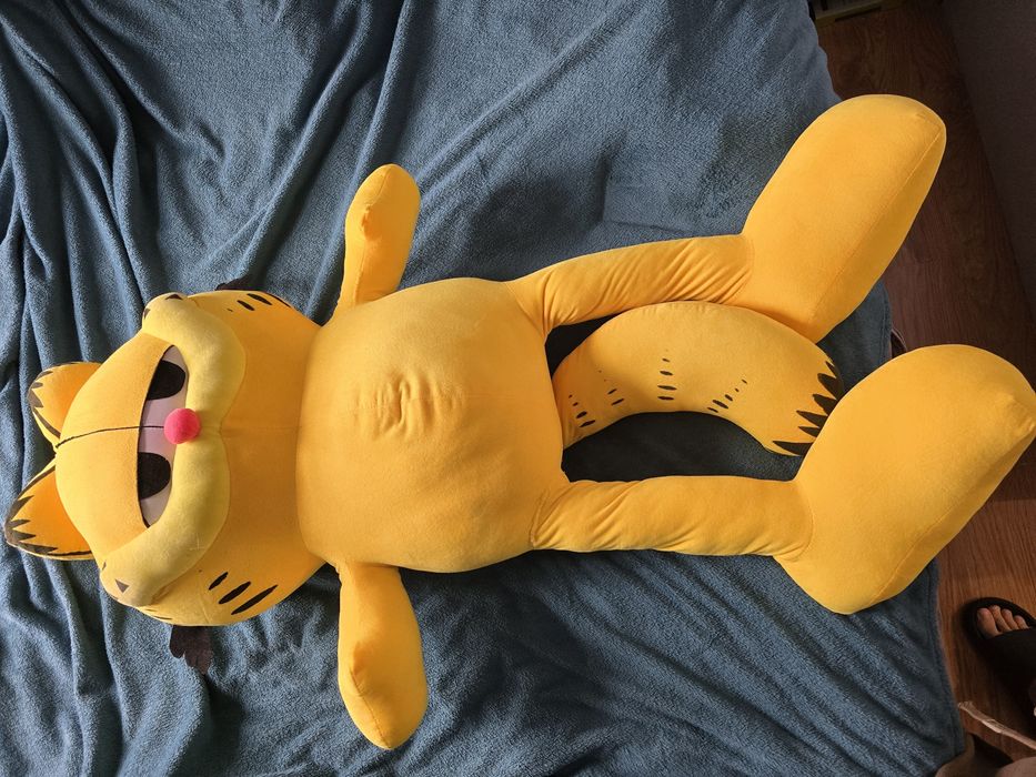 Sprzedam Garfield 
2004