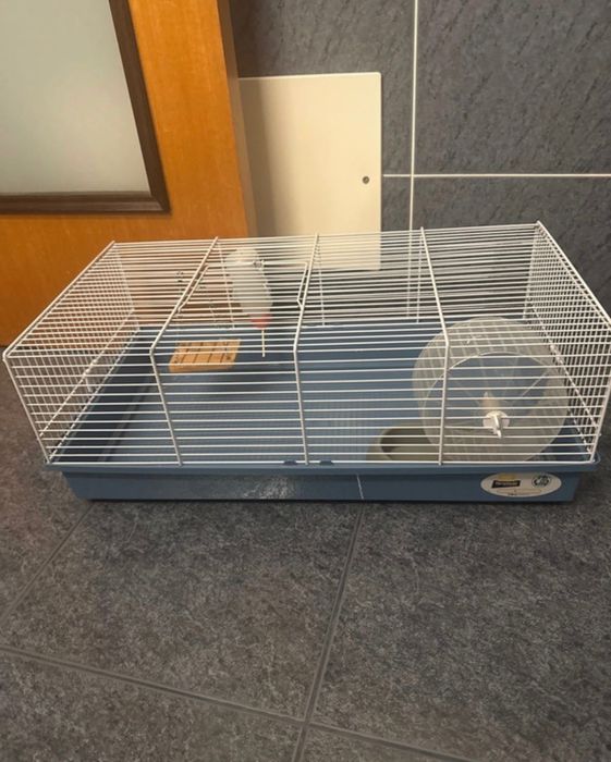 Gaiola para hamster