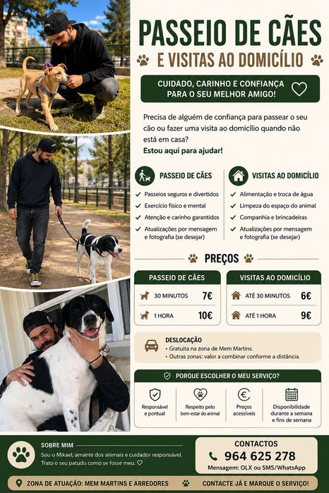 Passeio de cães e visitas ao domicílio
