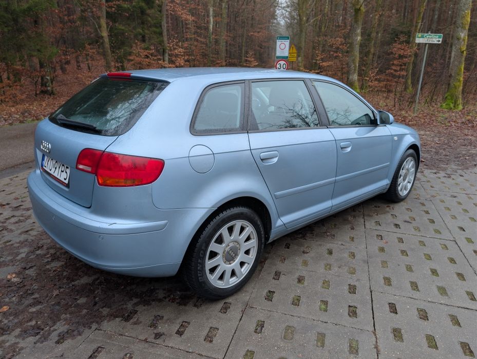 Audi A3 8p sportback 1.9 TDI DSG 2007R