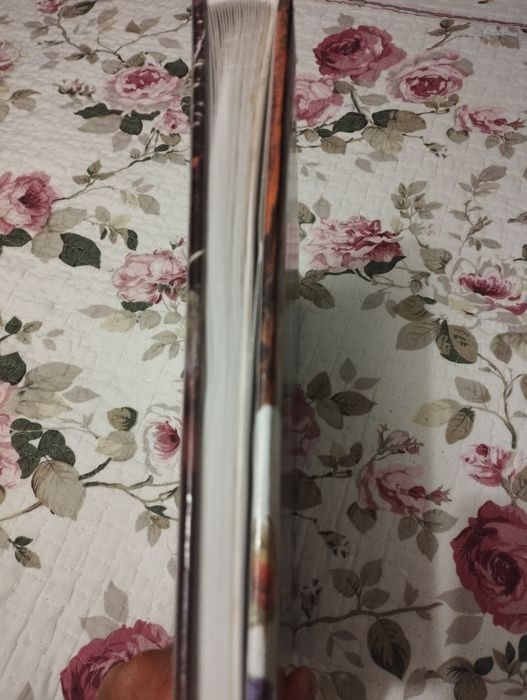 Album para fotografias novo