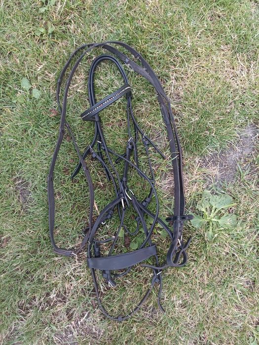 Ogłowie Cladridge House full