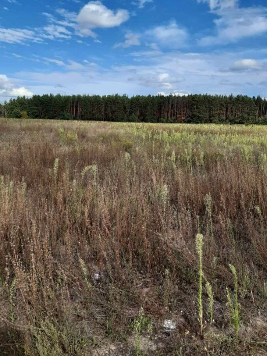 Продам ділянку. Обмін