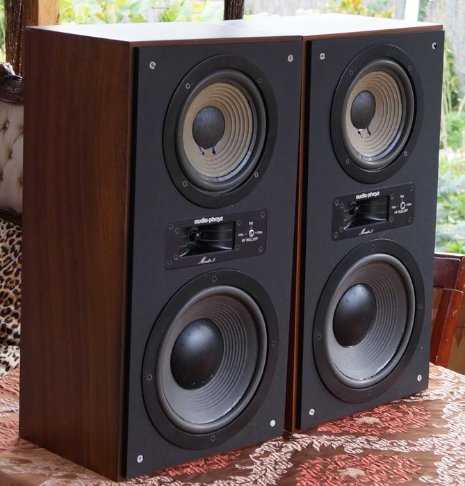 Акустика Electro Voice CH 2560 Audio phase monitor 5