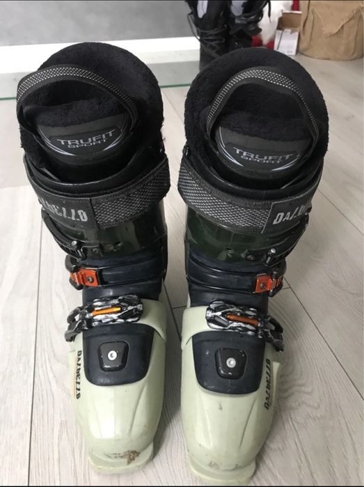 Buty narciarskie Dalbello