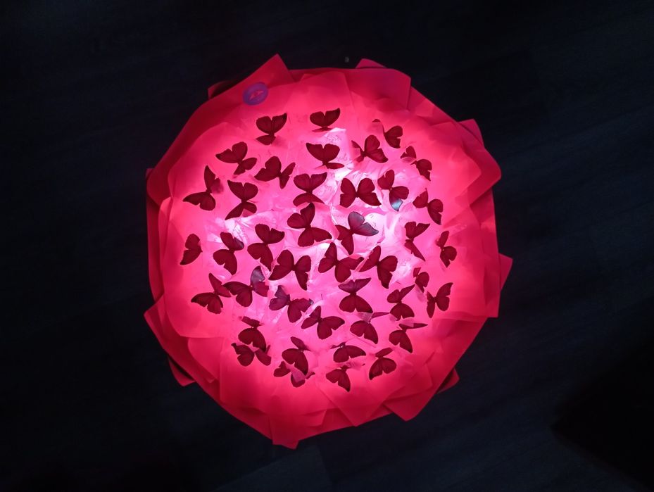 Букети з метеликів