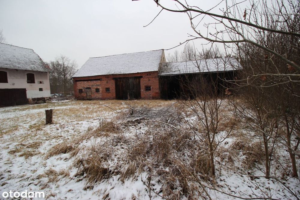 Roztoki - dom/gospodarstwo i działka budowlana, razem 0.63 ha - Widok 5