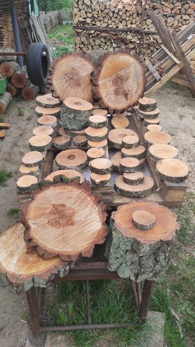 Brzozowe plastry rustykalne
