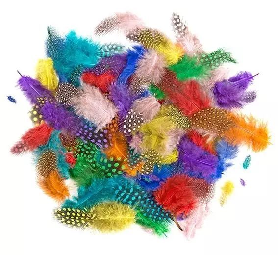 Piórka bażanta 4-7cm 10g brights. Dalprint