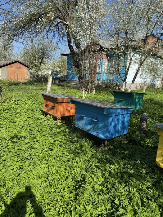 Дерев’яні вулики