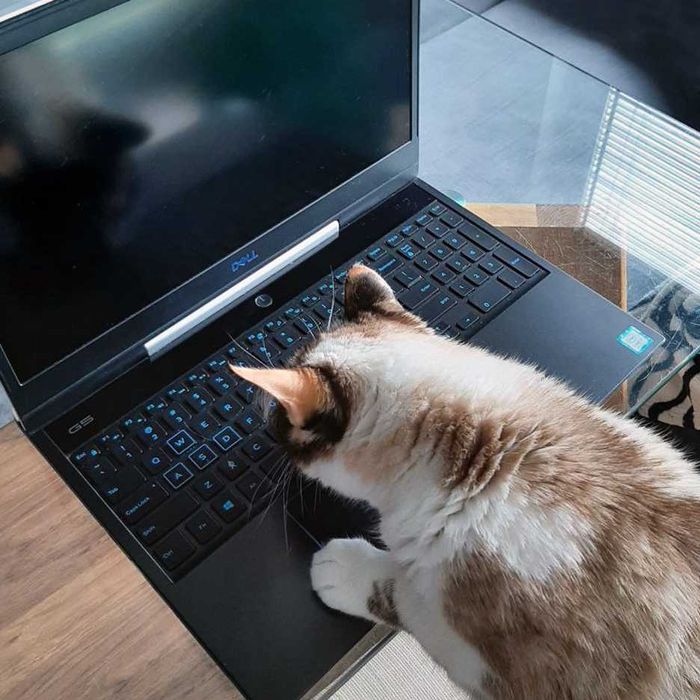 Laptop gamingowy Dell G5 5590 (i7-9750H, RTX 2060, HDD 1TB+SSD 128GB)