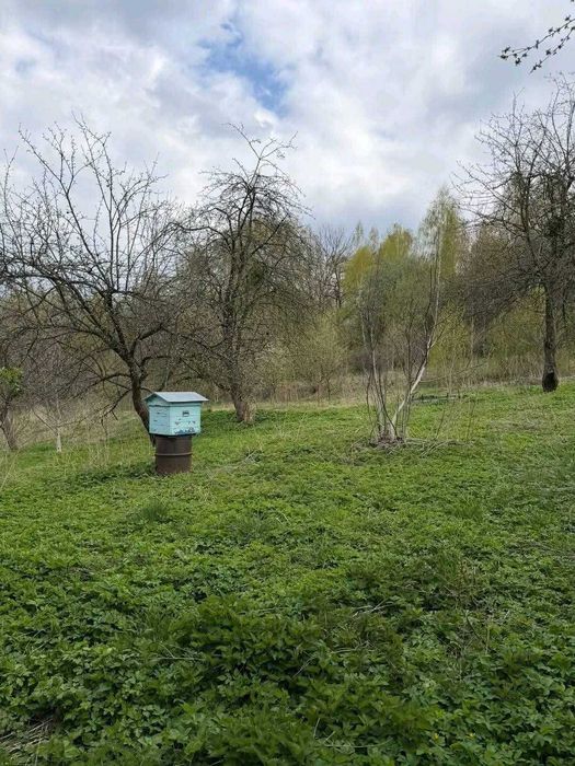Земельна ділянка з будинком у Кременці - Вид 5