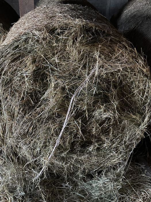 Siano baloty 120-125 pierwszy pokos pod dachem