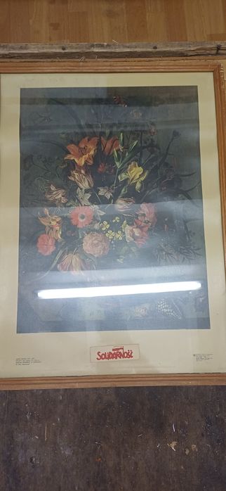 Obraz kwiaty solidarność