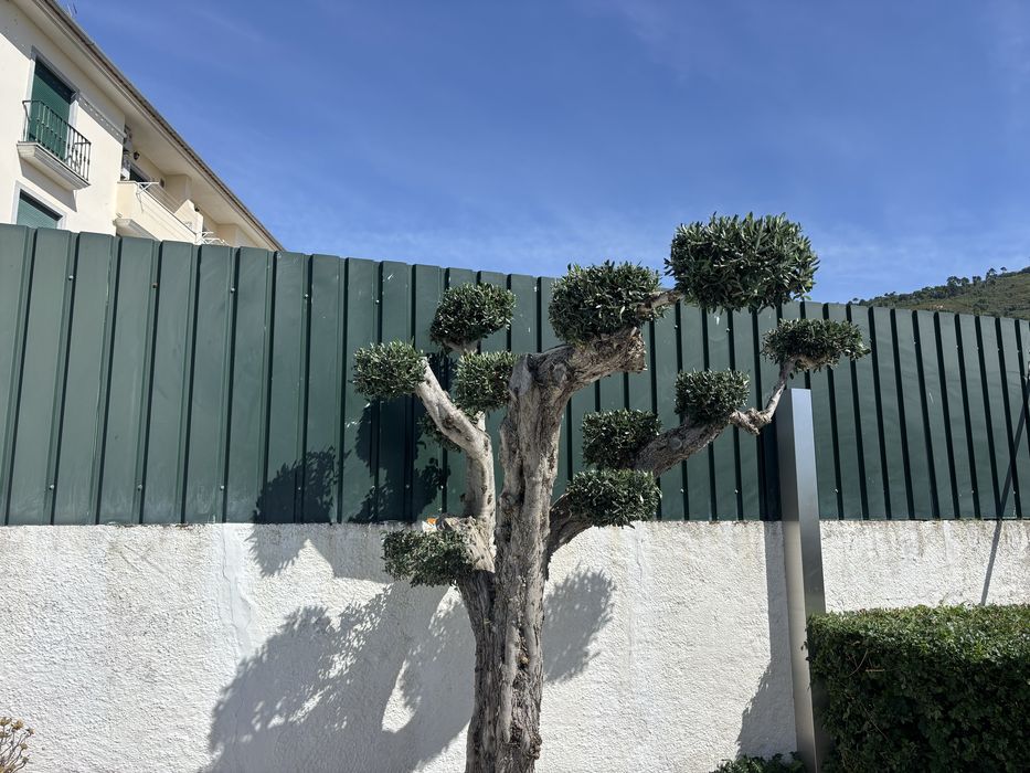Serviços de jardinagem