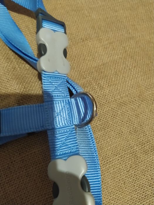 Peitoral XL RedDingo