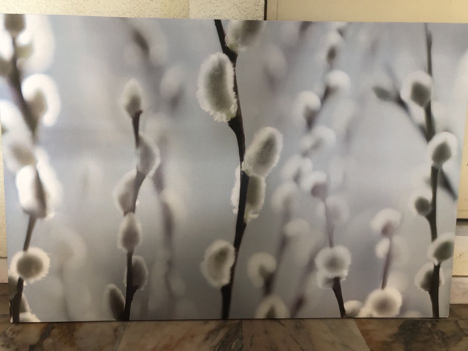 Tela decorativa Ikea