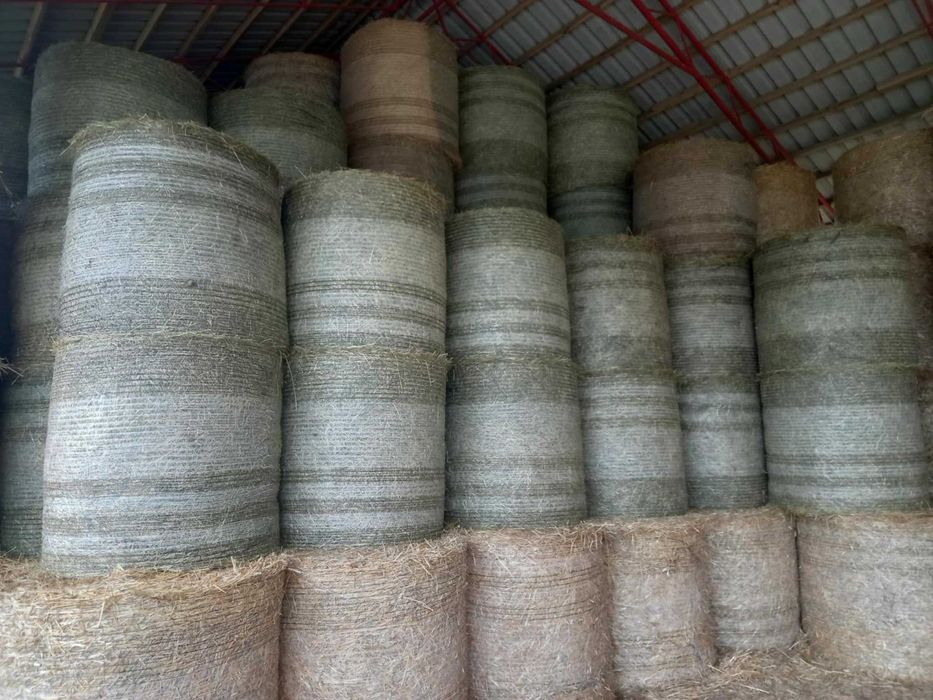 Sprzedam siano w belach