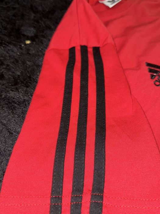 Fato treino Manga Curta Benfica e camisola manga comprida de treino