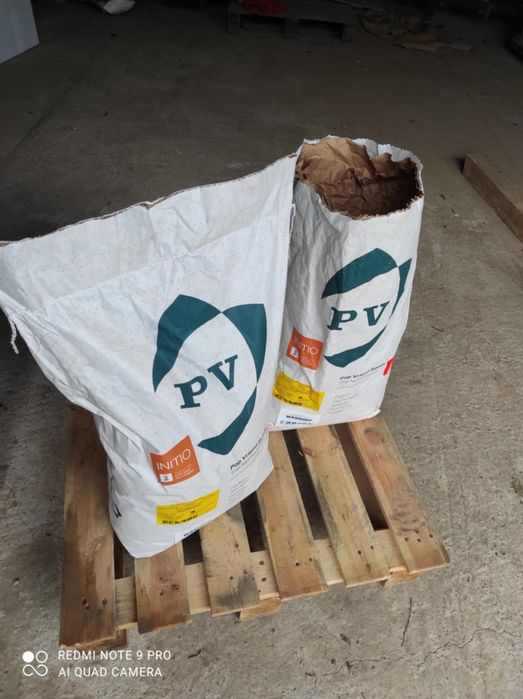 Fasola szparagowa Golden Goal fasolka