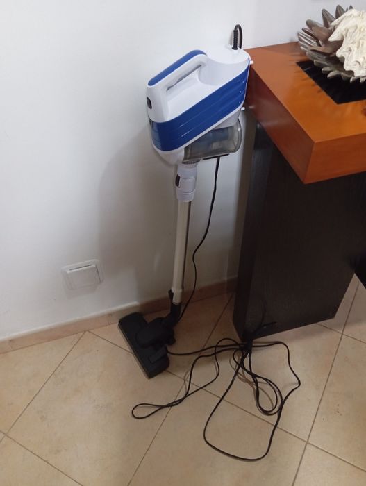 Aspirador vertical
