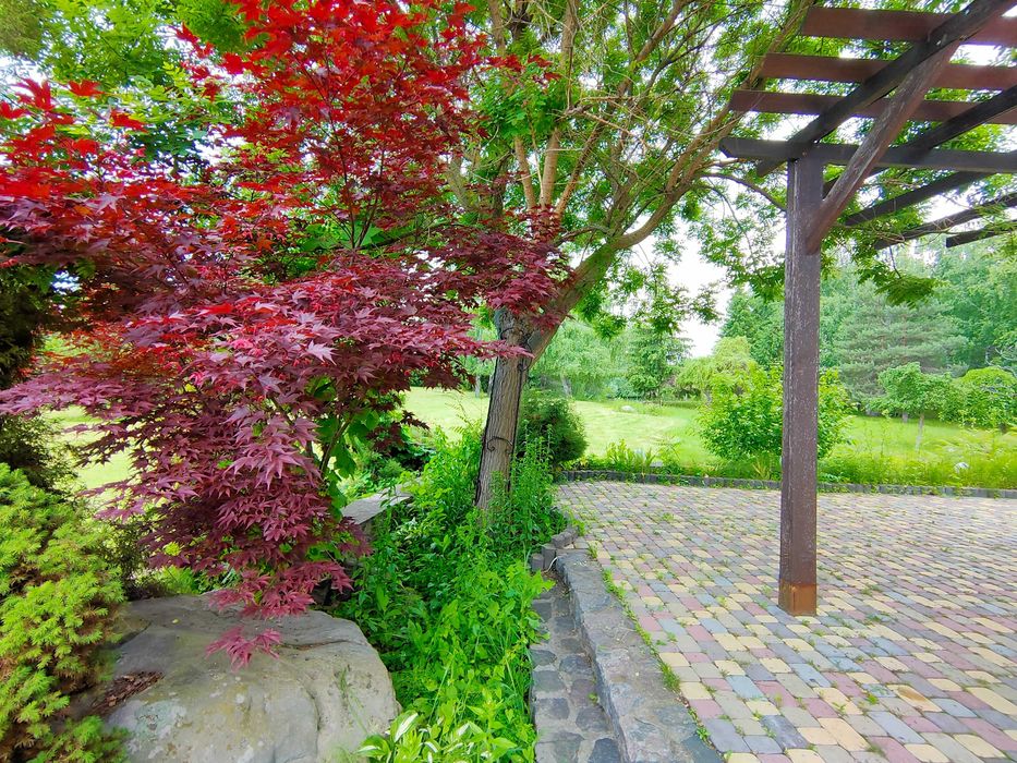 Елітна ділянка 200 соток,Осокорки до 1 шлюзу,Дніпро,Славутич 8 км,без%