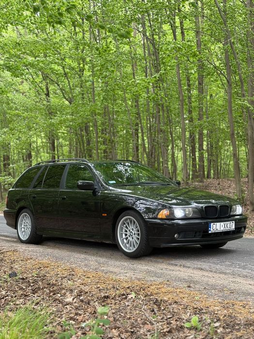 BMW E39 lift 530d 193KM Automat | Xenon | Styling 32