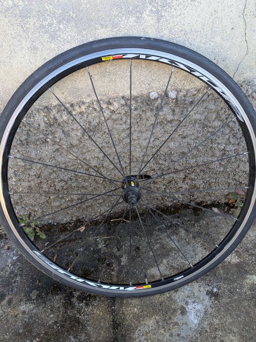 Roda dianteira Mavic Aksium