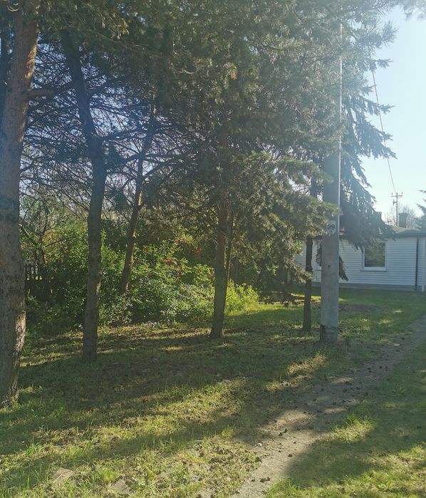 Domek do wynajęcia 300zł /doba