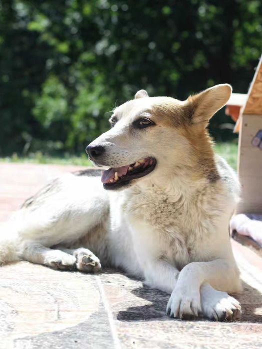 Jacky szuka świadomego domu