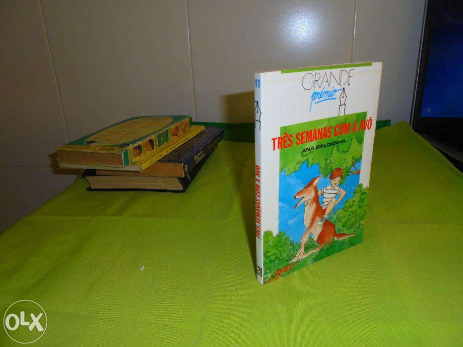 Livro "Três semanas com a a avó" de Ana Saldanha