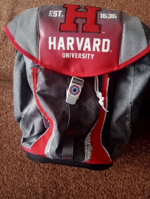 Рюкзак школьный 1-4 кл