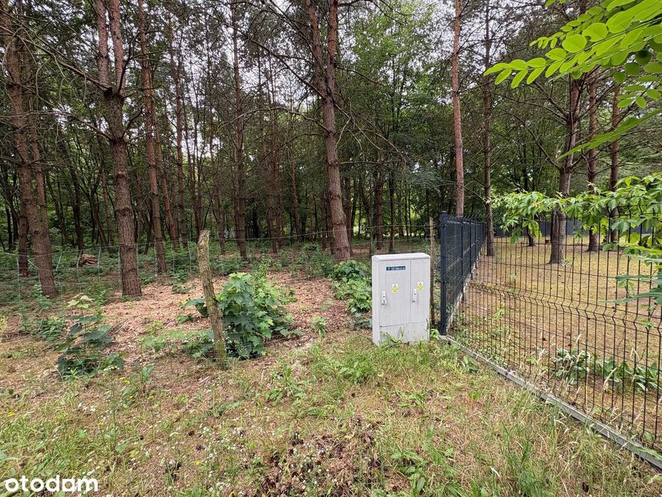 Działka budowlana 1505 m² , ogrodzona, prąd, Wężyk, gmina Grodzisk Maz