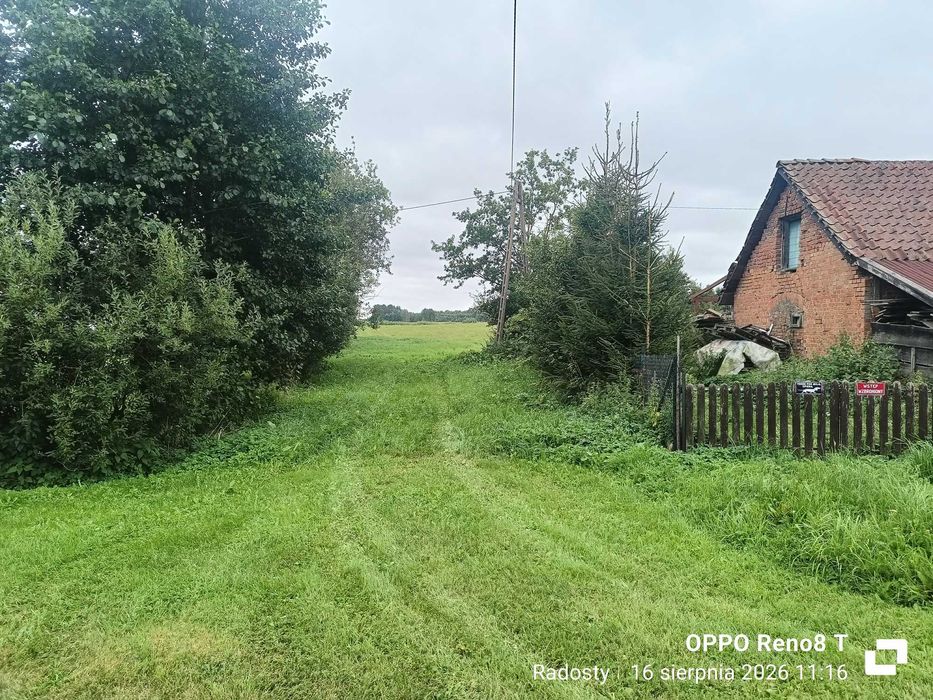 Działka 78 arów - Widok 2