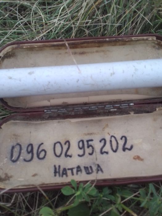 Продам молодых козликов