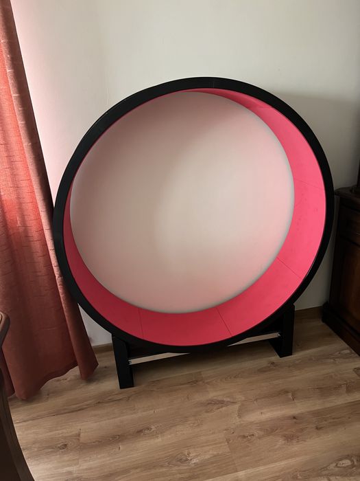 Koło dla kota  do biegania.