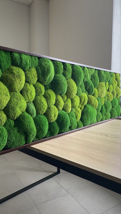 Панно з моху, картина з мохом та підсвіткою, кочковий мох