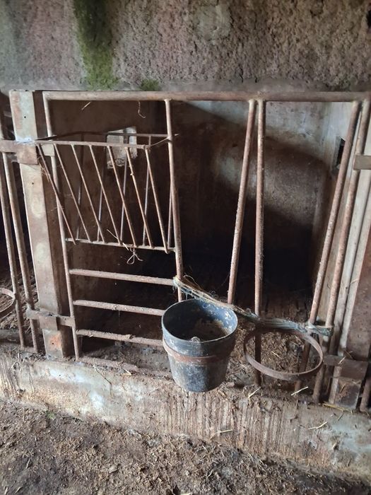 Cornadis para vitelos