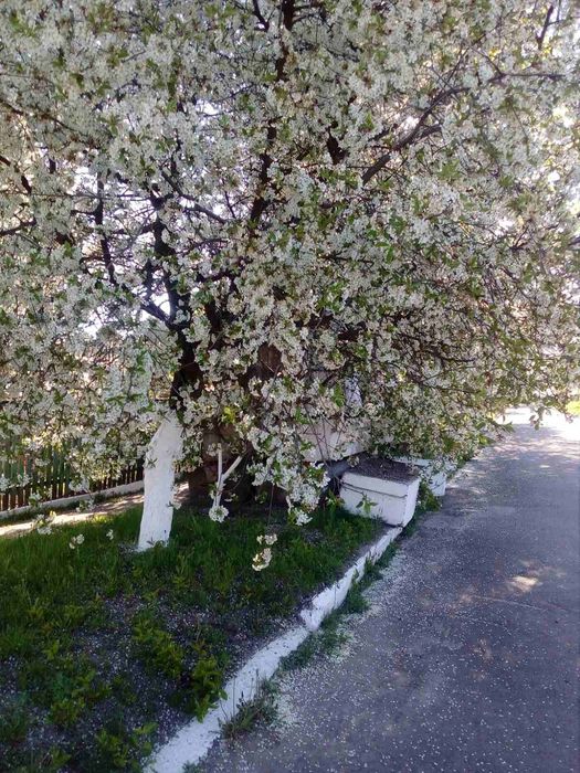 Простір і Свобода у власному домі в Приворітʼї, Брусилівський район