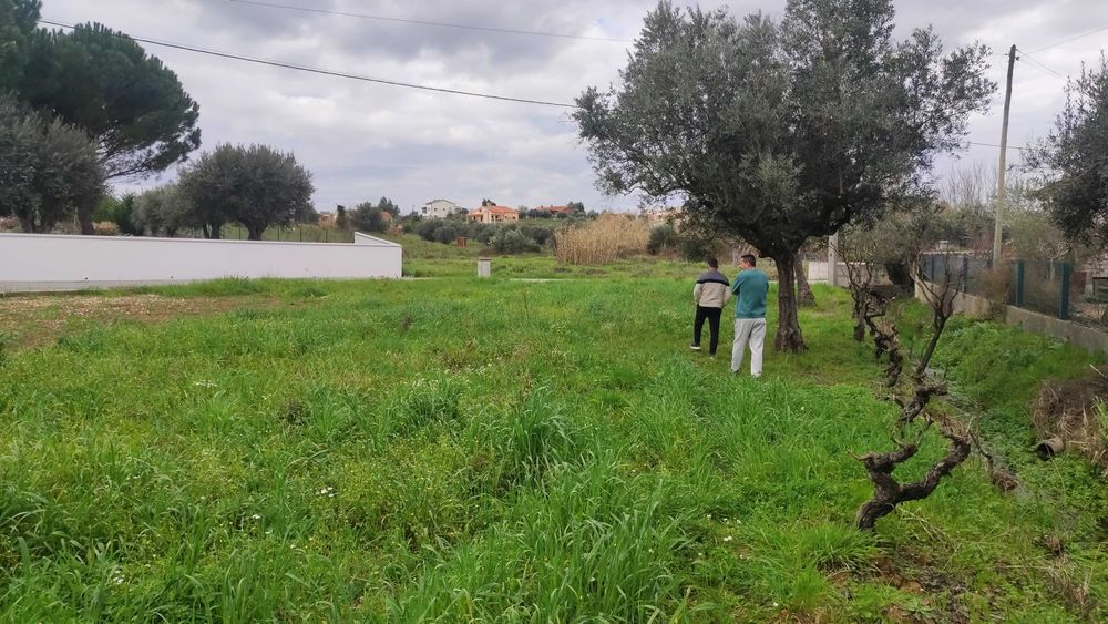 Terreno para Construção em Tomar (Minjoelho) – 2200m² – Excelente