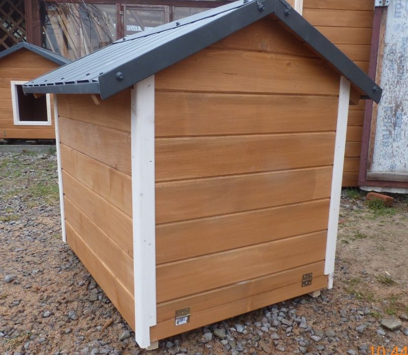 Buda dla psa , doghouse