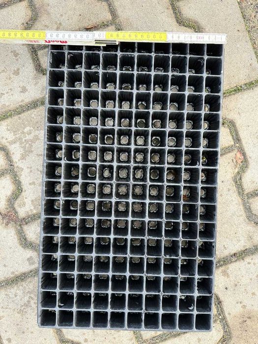 Multiplaty tacki wielokomorowe paletki 160