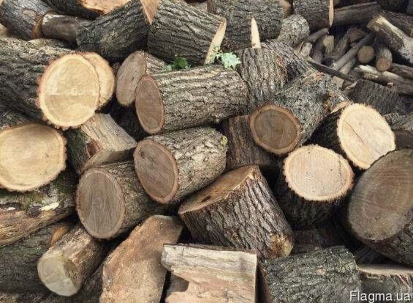 Дрова дубові колоті