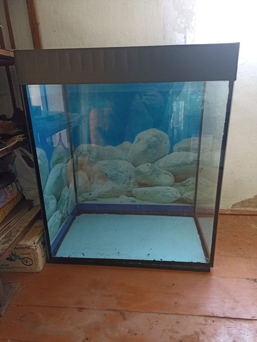 Продам Акваріум !!! Висота 79 довжина   65,5 ширина 40 на 183 літра