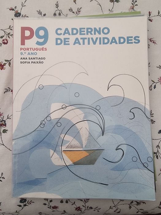 Caderno de Atividades 9° Ano Plastificados