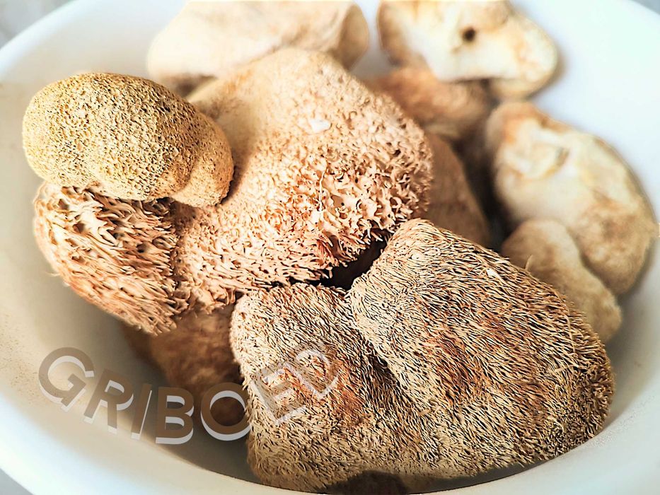 ТРИ В ОДНОМ - по 100г Ежевик гребенчатый + Рейши + Трутовик настоящий.